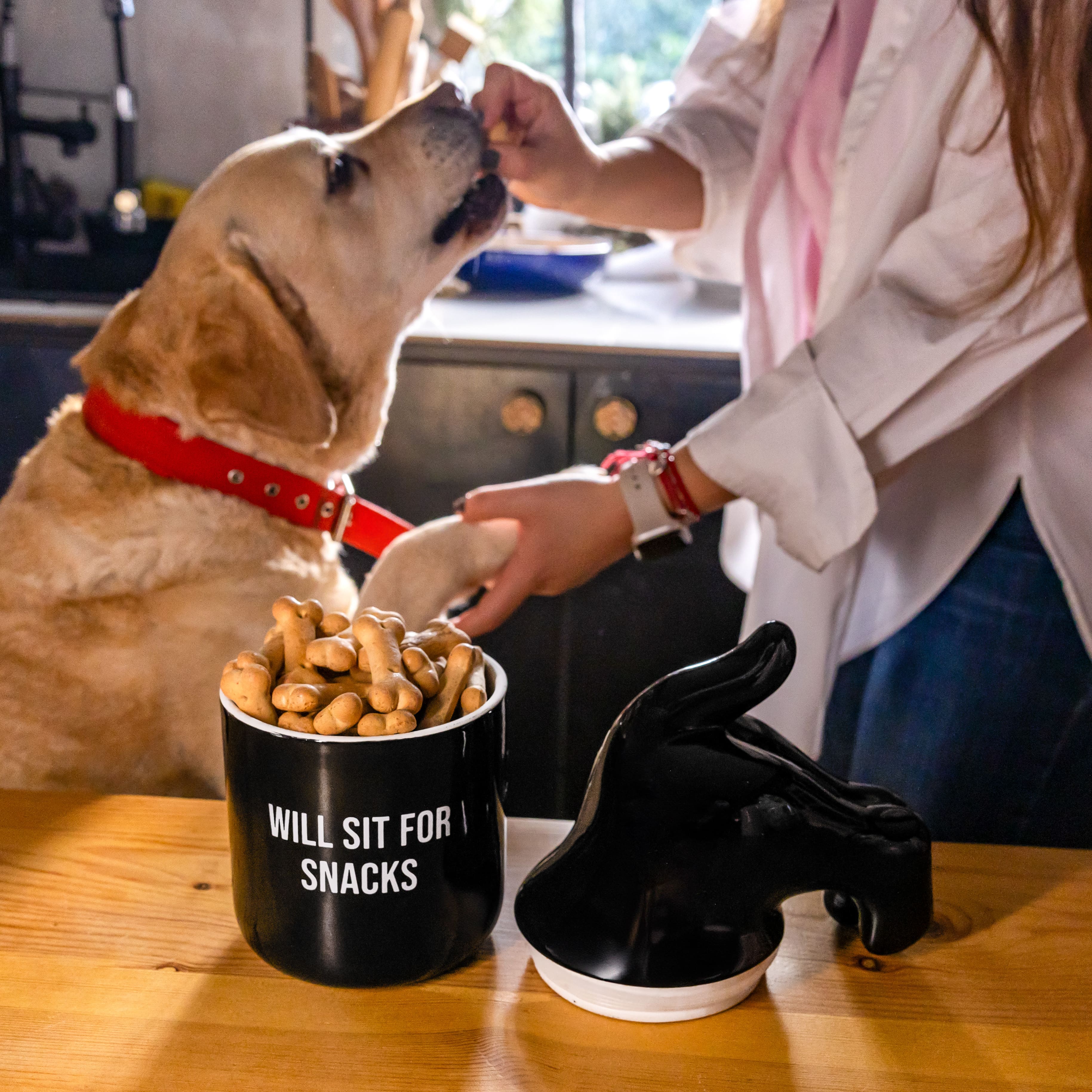 Bote premios “Will sit for snacks” negro