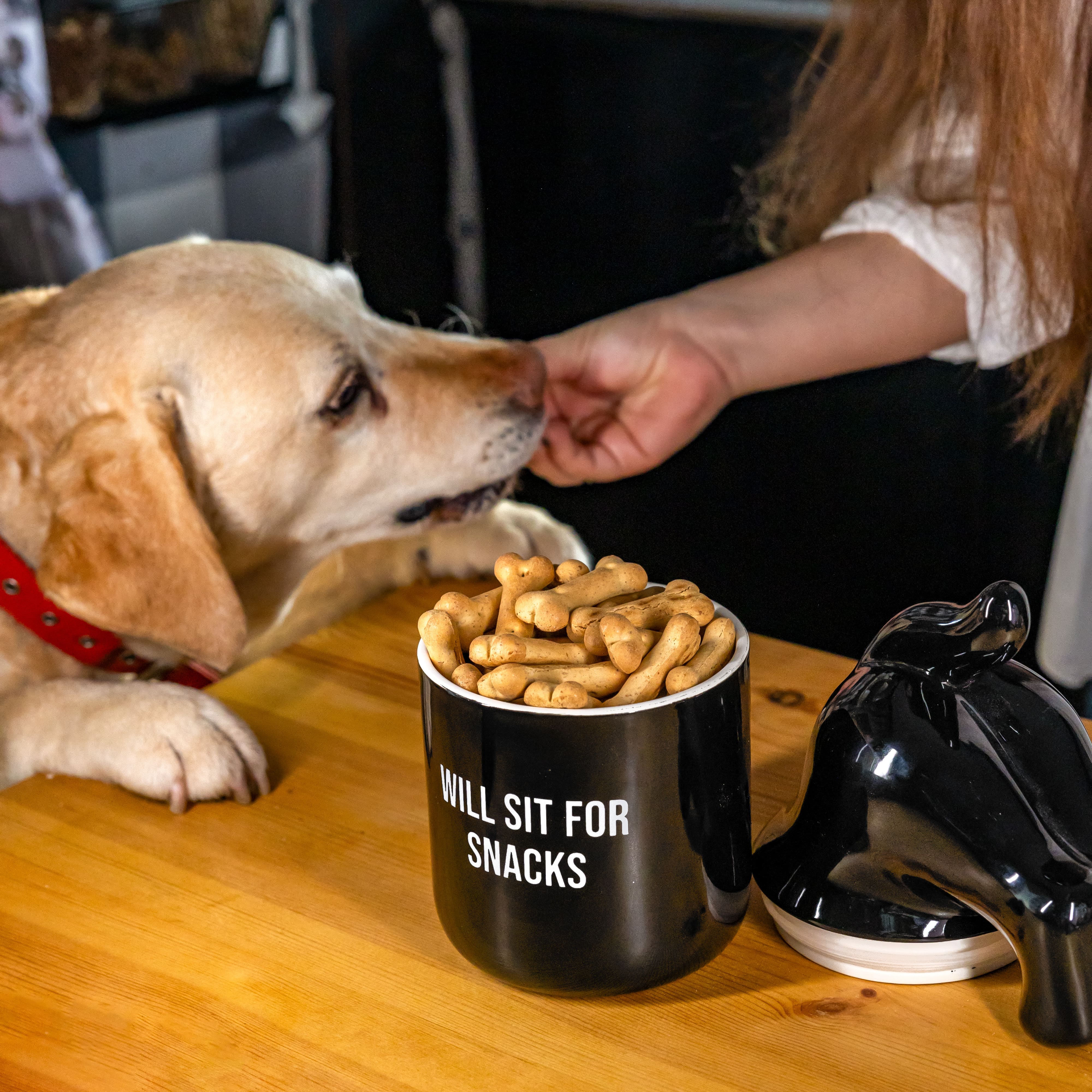 Bote premios “Will sit for snacks” negro