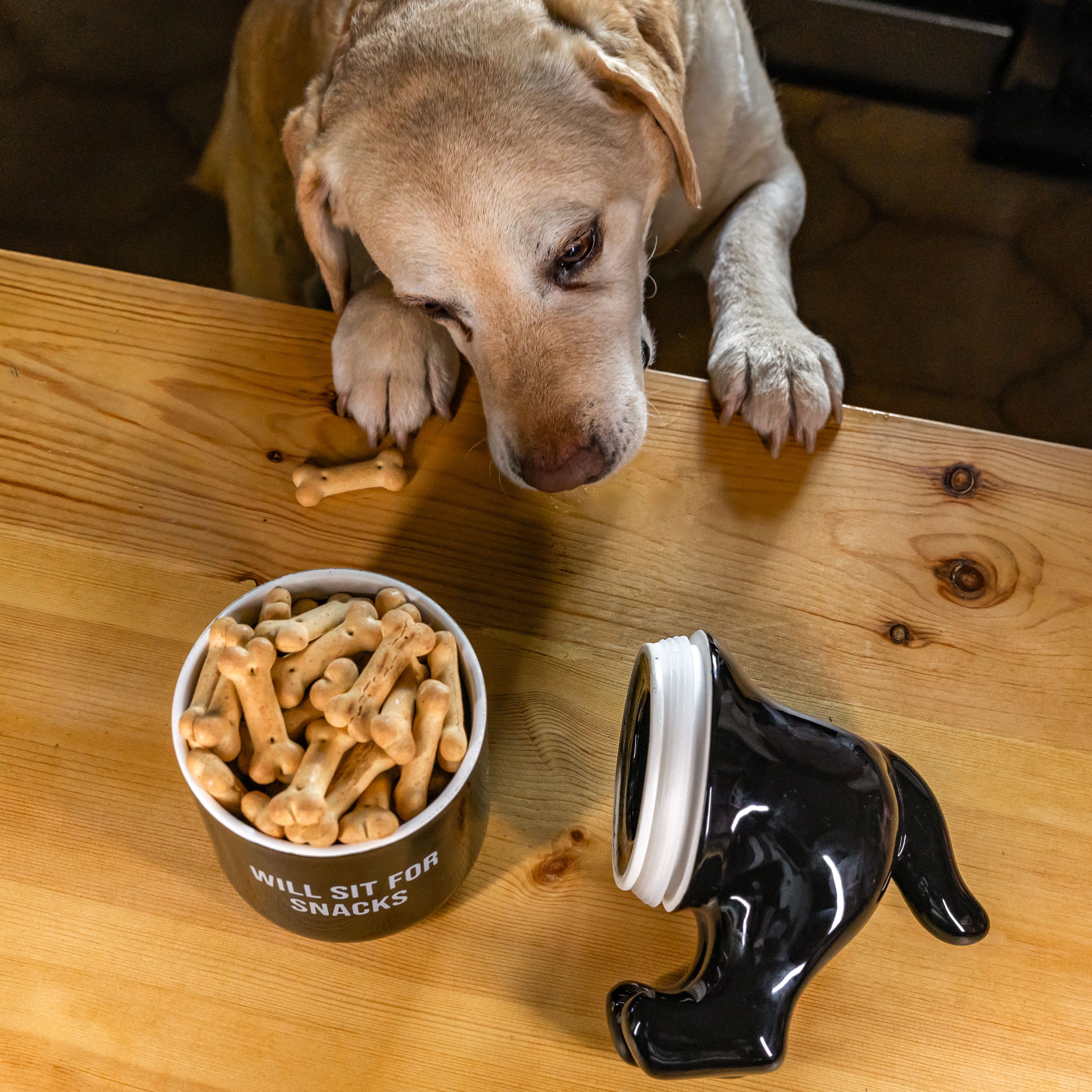 Bote premios “Will sit for snacks” negro