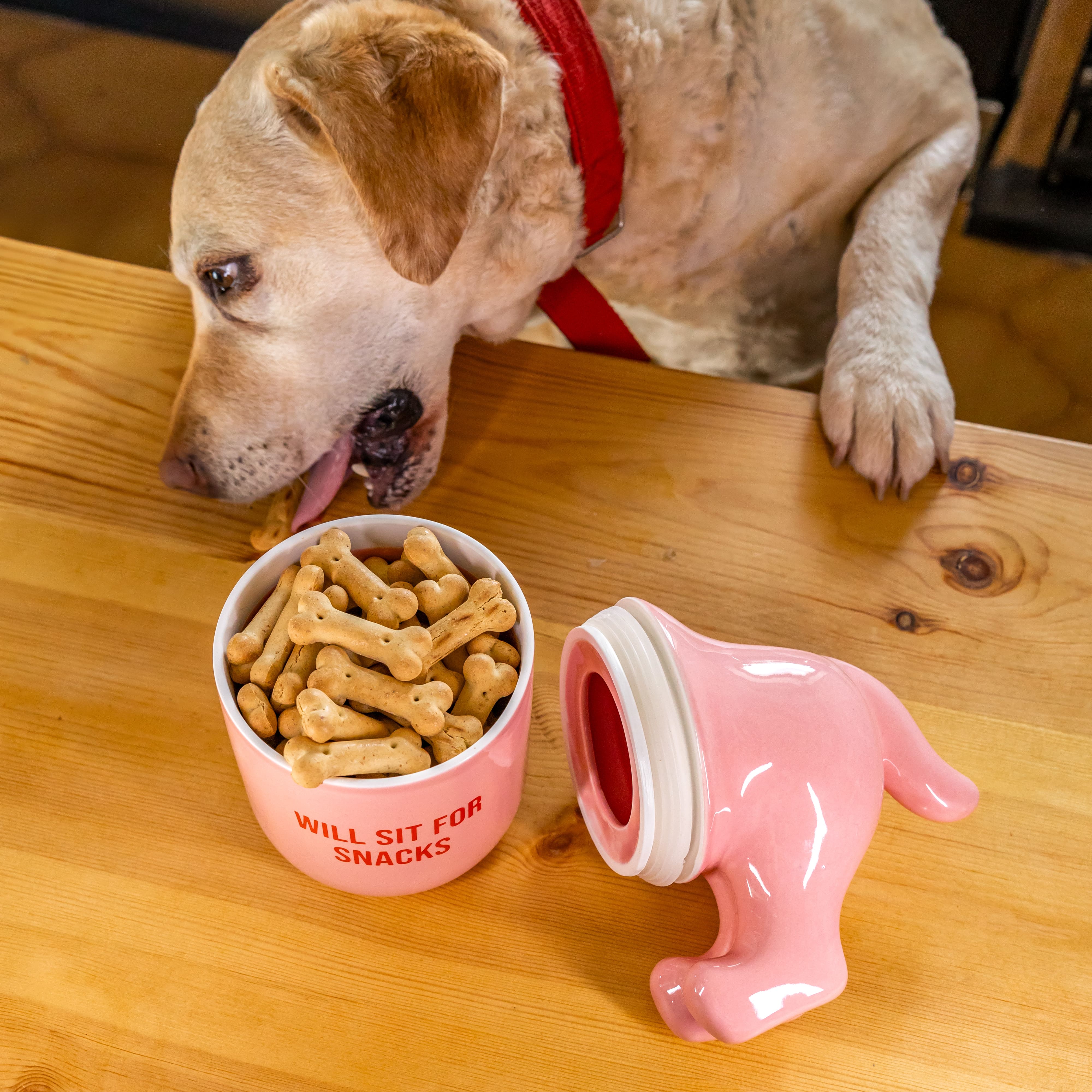 Bote premios “Will sit for snacks” rosa