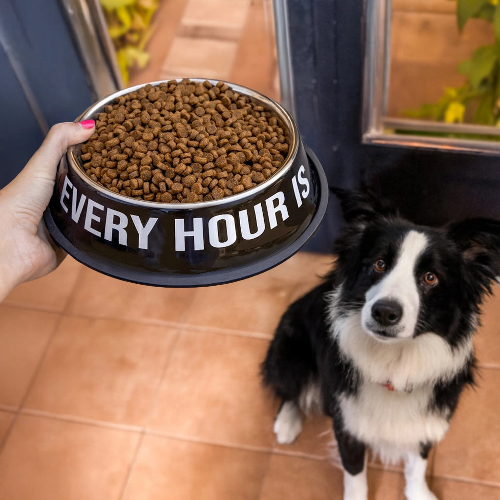 Comedero y bebedero “Happy hour”