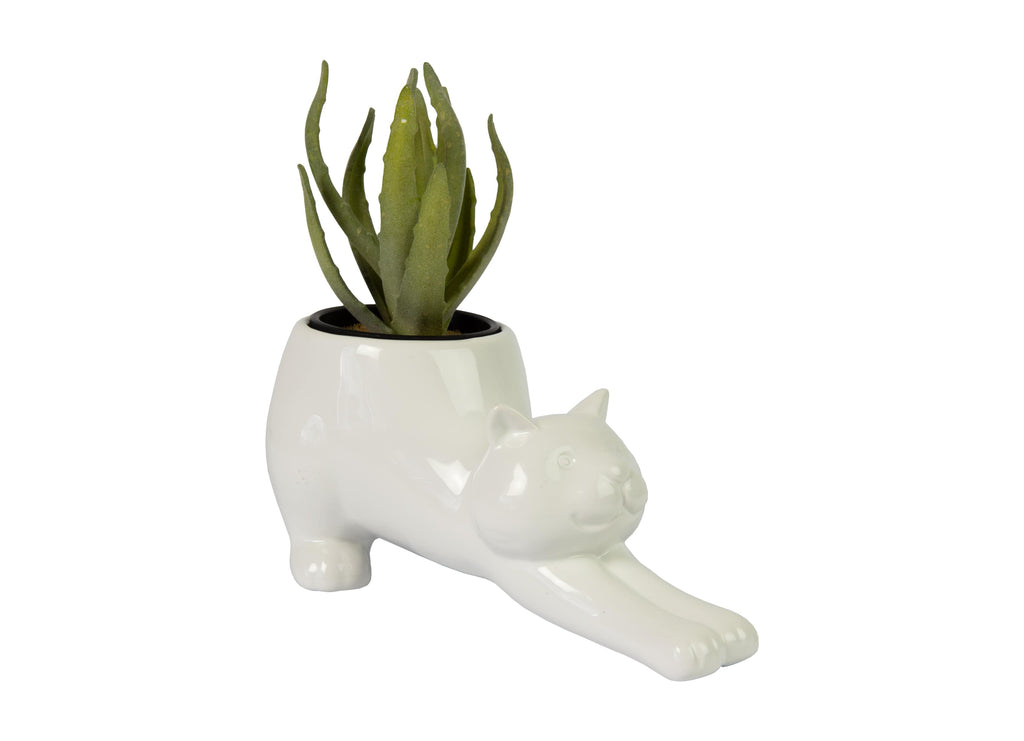 Pulverizador para plantas “gato” blanco – Fisura